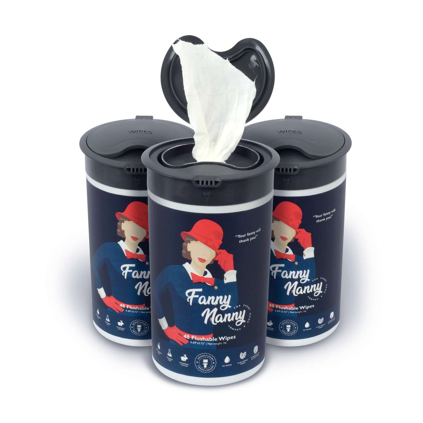 Fanny Nanny Wipes - 3 Pack